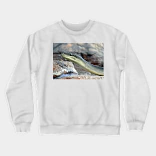 Olive Python Crewneck Sweatshirt